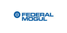 federal mogul